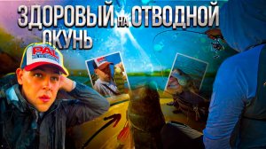 3 СЕРИЯ.ОКУНЬ на ОТВОДНОЙ в ПРЕКРАСНОМ МЕСТЕ! ОКУНЬ дает ЖАРУ.Ломовской природный ландшафтный парк.