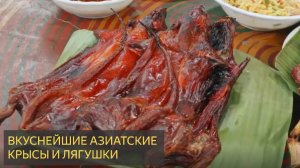 Выживаю на лягушачьем мясе!! Самая необычная фермерская еда в Азии!!