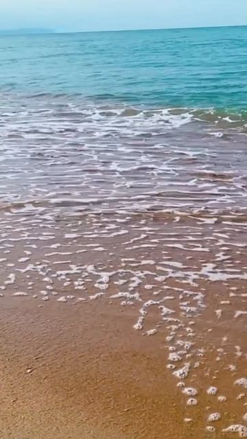 Панама из рафии.Дельфины и море. shorts