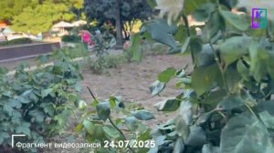 Клумбы в центре Керчи привели в порядок