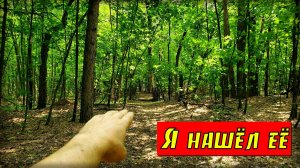 В поисках старой дороги.