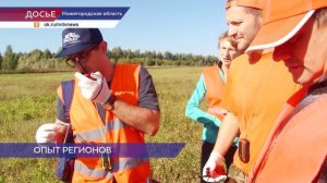 Нижегородские волонтёры провели стратсессию с коллегами из Владимирской области