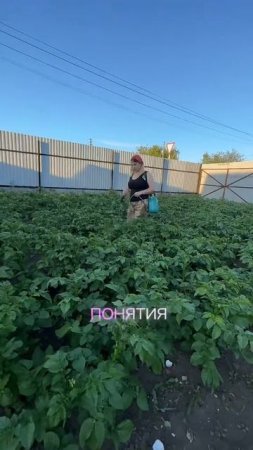 Обработка картошки #уралочка #огород #картошка