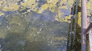 Барсаевский сероводородный источник