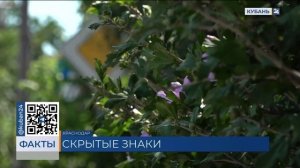 Водители пожаловались на скрывающиеся за листвой дорожные знаки в Краснодаре