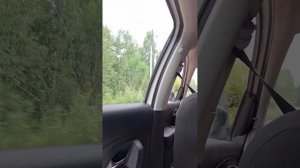 едем на дачу часть 1