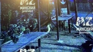 ночь с 23 на 24 - 23.07.2025 -Людвиг ван Бетховен - исполнитель Monakh_Avel_-_Lunnaya_Sonata