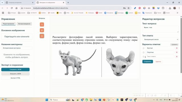 Викторина по изображению