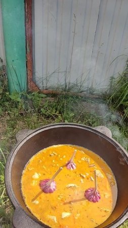 24-07-2025