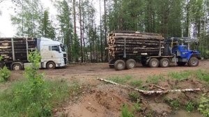 b30767d0-6dbd-464a-a1c0-7474453c7f56-1_all_2695.mp4