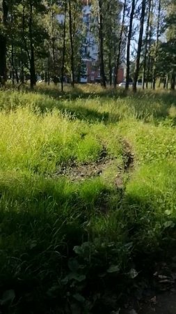 Парк после дождя
