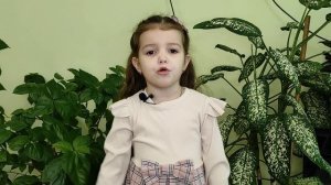 С. Михалков "Муха и пчела"