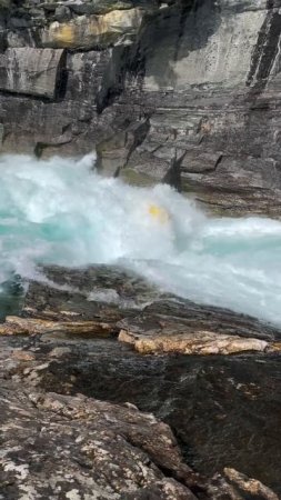 Будет весело, говорили они