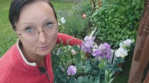 Видео привет с 6 соток 23 июля 2025 года