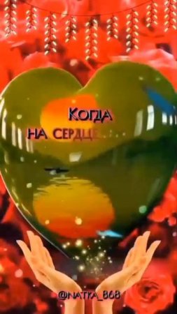 video_10067105092879.mp4
