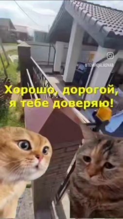 Дёшево не значит качественно ⚙️🔥