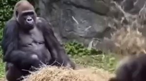 Это видео идеально покажет вам что значит быть родителем 😅 !!!