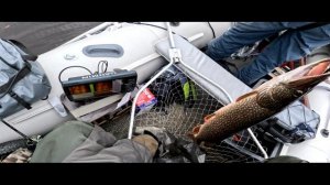 Рыбалка 18.07.2025