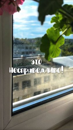 Артикул на спрей-очиститель 🫧
WB #269153142 Ozon #1740810271 Мое любимое средство для окон и зеркал