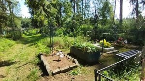 Тверская область, Максатихинский муниципальный округ, Селецкое кладбище