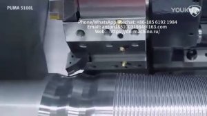 DN Machinery - PUMA 5100L