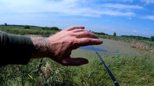 ЗАТЕРЯННОЕ БОЛОТО И СТРАШНАЯ НАХОДКА!