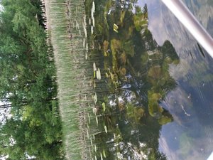 Я УХОЖУ НА 2 ДНЯ НЕ БУДУ В СЕТИ 2 ДНЯЯЯ