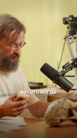 Отличие ЧЕЛОВЕКА от ОБЕЗЬЯНЫ | Глеб Соломин #подкаст #дробышевский #обезьяны
