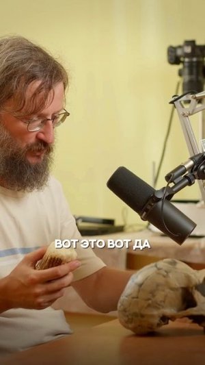 Отличие ЧЕЛОВЕКА от ОБЕЗЬЯНЫ | Глеб Соломин #подкаст #дробышевский #обезьяны