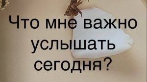 Что мне важно услышать сегодня?