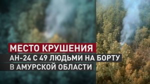Крушение самолёта Ан-24 в Амурской области