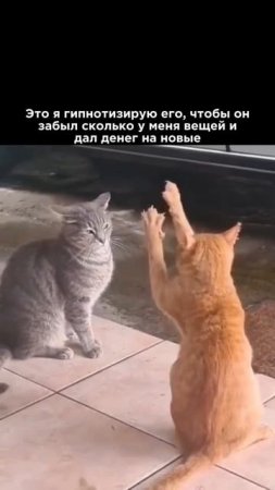 та самая, женская магия