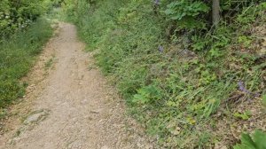 Подвесной мост волотово черепянь 2025г