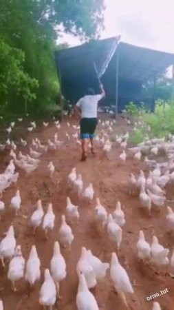 1000257449.mp4