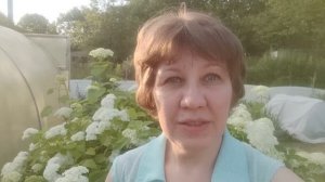 ВЛОГ На пруду и на даче