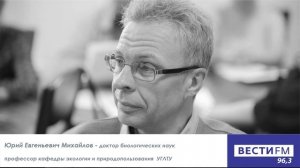 Ю. Михайлов о нашествии шелкопряда