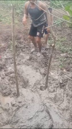Пранк