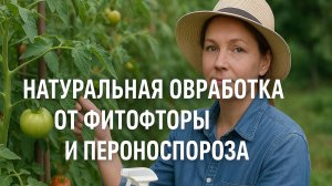 НАТУРАЛЬНАЯ ОБРАБОТКА ОТ ФИТОФТОРЫ 🍅 и ПЕРОНОСПОРОЗА 🌿