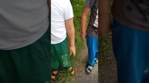 проверяю людей на честность