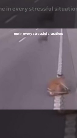1000065608.mp4