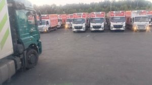 красное белое