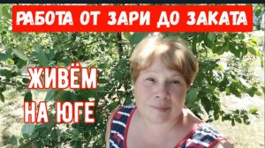 #59🌷Трудный период/Приходится делать все самой/Зачем мне все это надо