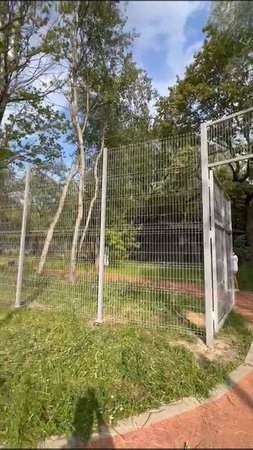 VID-20250708-WA0003