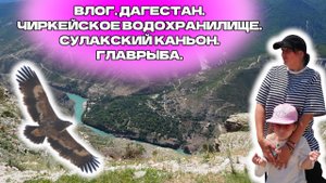 ВЛОГ. ДАГЕСТАН. ЧИРКЕЙСКОЕ ВОДОХРАНИЛИЩЕ. СУЛАКСКИЙ КАНЬОН. ГЛАВРЫБА.
