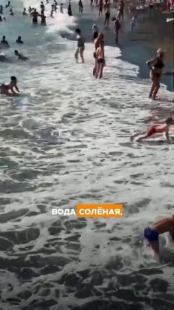 Где лучше учить ребёнка плавать🏊🏼♂️