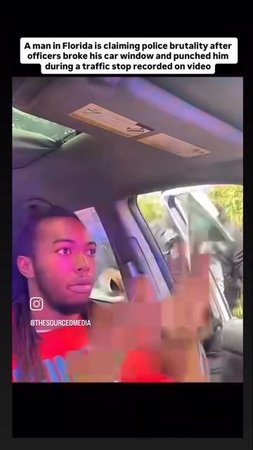 🔰 Как Вам такой уровень спокойствия)))😂️🫣😜