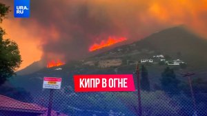 Один из самых страшных пожаров в истории Кипра: огонь уничтожает дома и леса