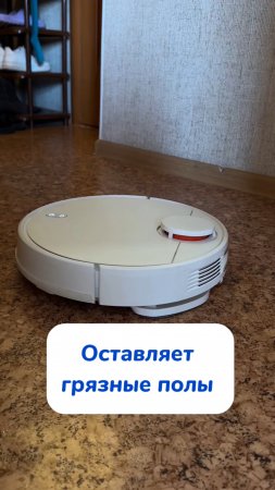 Спонсор белоснежных носочков ⚪️ WB #93550775
Ozon #655295171