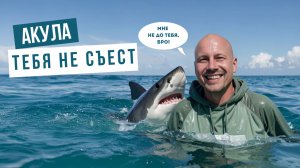 99,9% из вас НЕ СЬЕСТ АКУЛА. Разоблачение самого популярного ЗАБЛУЖДЕНИЯ человечества