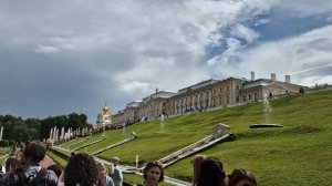 Голодные рыбки